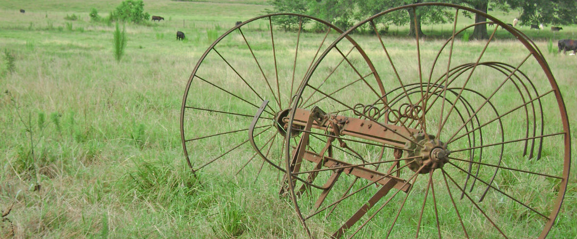 Antique Equipment in Green Field